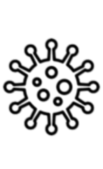 Kategorie Corona-Virus