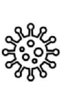 Kategorie Corona-Virus